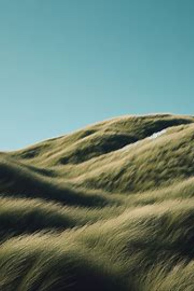 The Wind