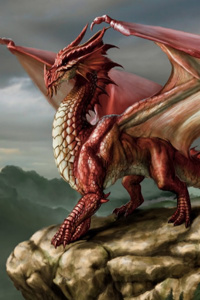Dragon Flight