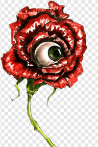 The Roses are Frowning