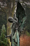 Epoch of Disdain
