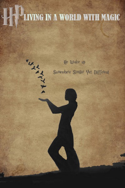 HP: Living in a World with Magic