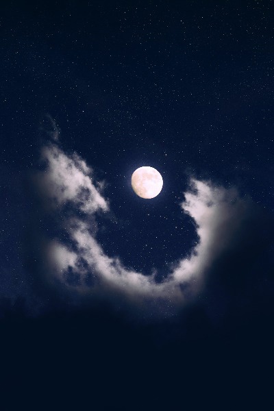 The Night of Relict